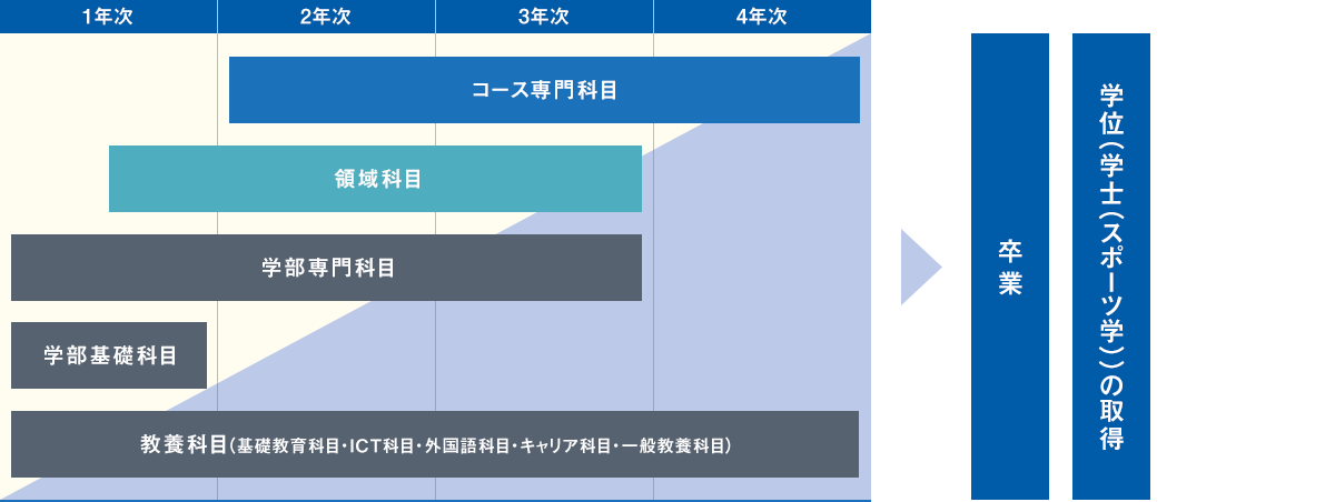 カリキュラム