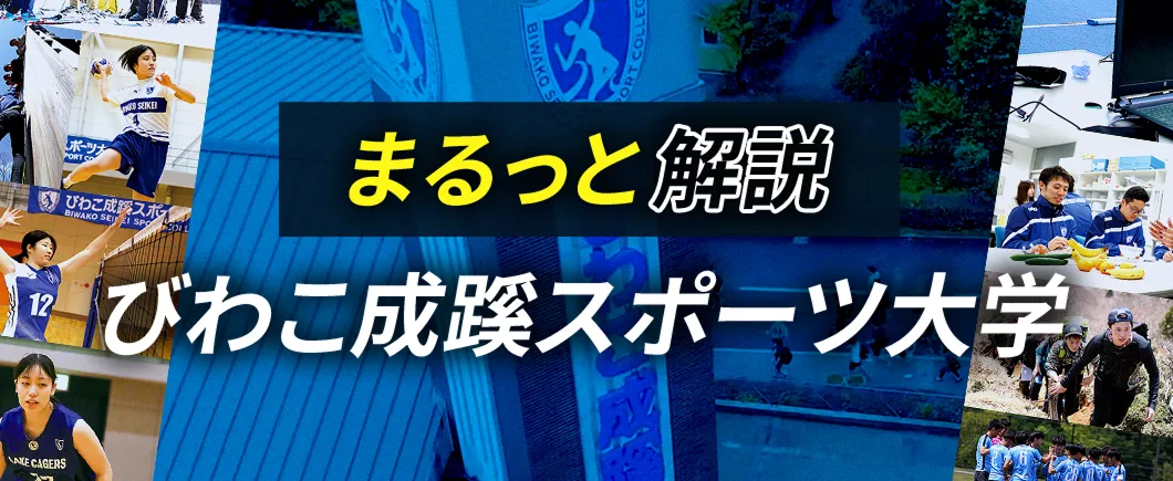 まるっと解説